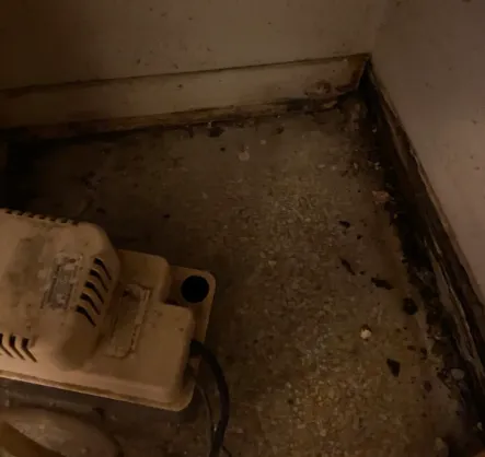 Keld Water and Mold Removal Picture 8