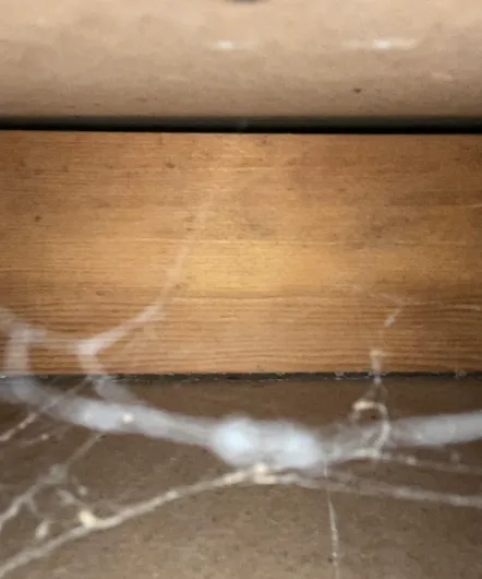 Keld Water and Mold Removal Picture 10