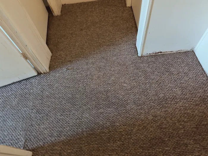 Stanley Steemer Picture 1