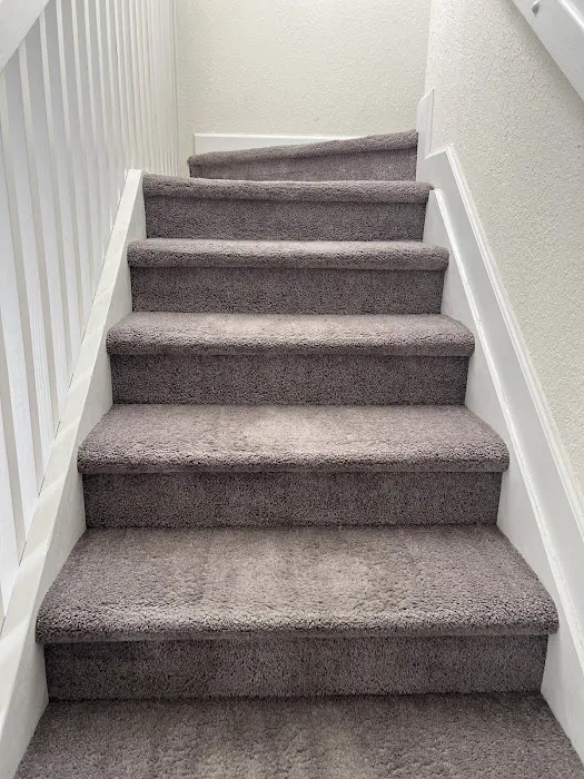 Stanley Steemer Picture 3