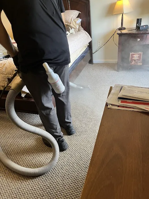 Stanley Steemer Picture 6