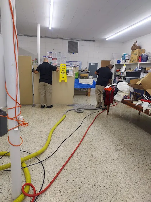 Stanley Steemer Picture 8