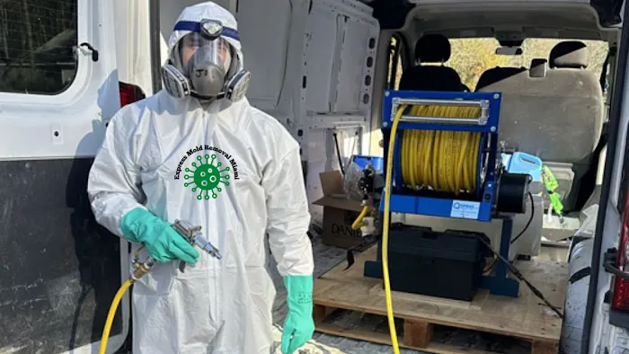 Express Mold Removal Miami Picture 2