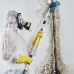 Express Mold Removal Miami