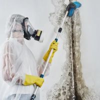 Express Mold Removal Miami ico