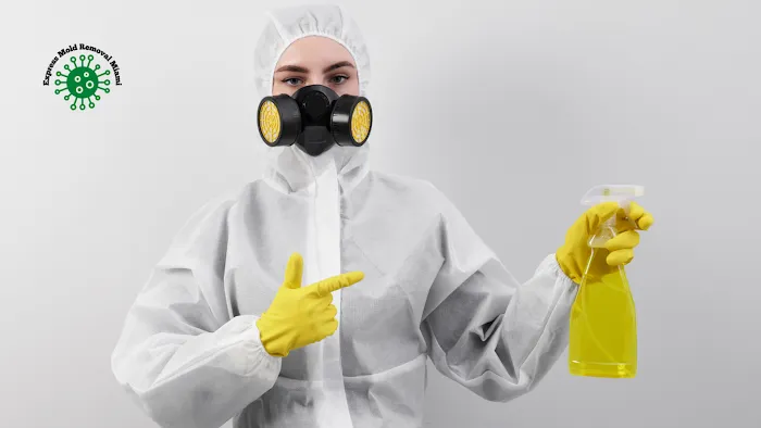 Express Mold Removal Miami Picture 10