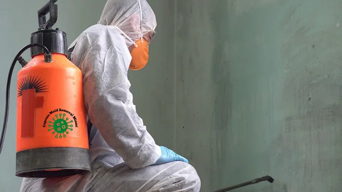 Express Mold Removal Miami Picture 8