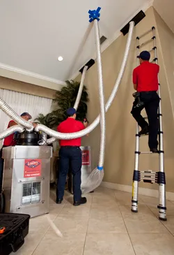 Liberty Extraction and Drying Picture 6