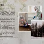 Water Mold Restoration Boss of Doral