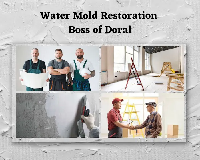 Water Mold Restoration Boss of Doral Picture 4