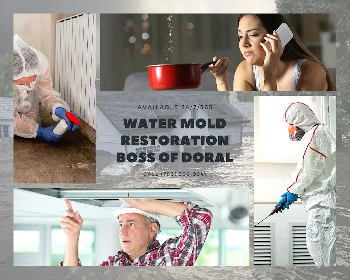 Water Mold Restoration Boss of Doral Picture 2