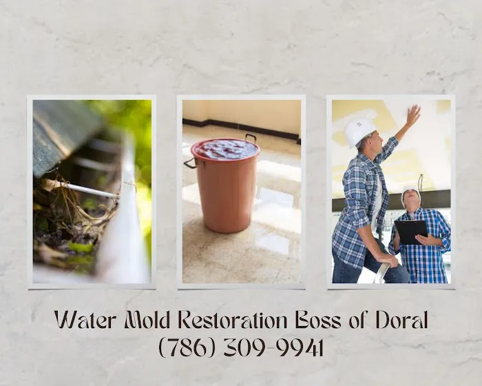 Water Mold Restoration Boss of Doral Picture 5