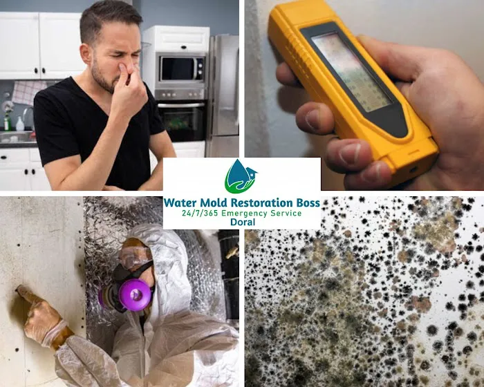 Water Mold Restoration Boss of Doral Picture 6