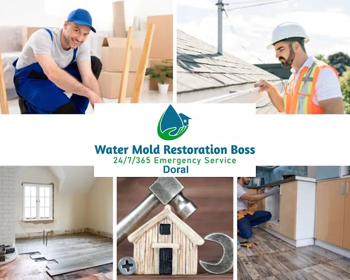Water Mold Restoration Boss of Doral Picture 3