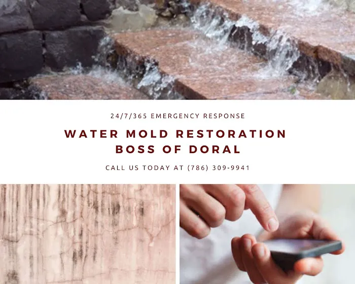 Water Mold Restoration Boss of Doral Picture 8