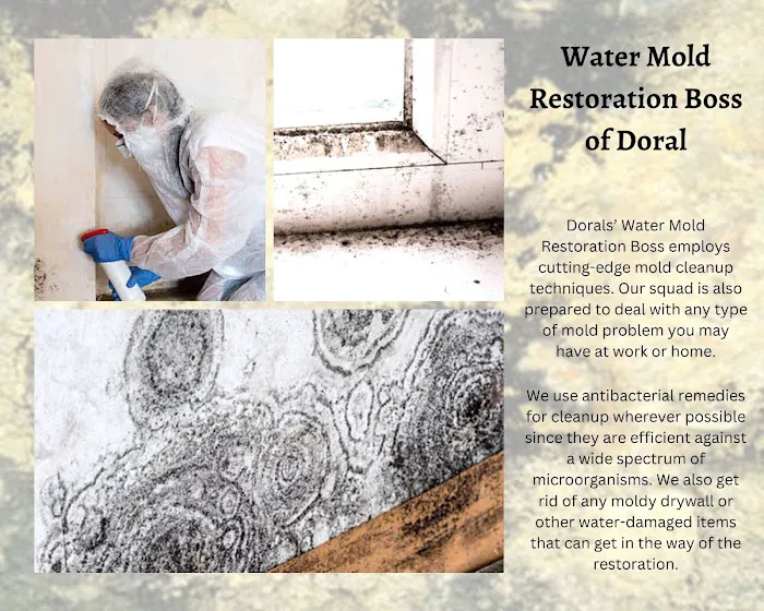 Water Mold Restoration Boss of Doral Picture 9