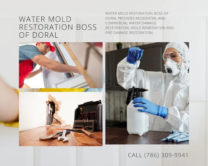 Water Mold Restoration Boss of Doral Picture 10