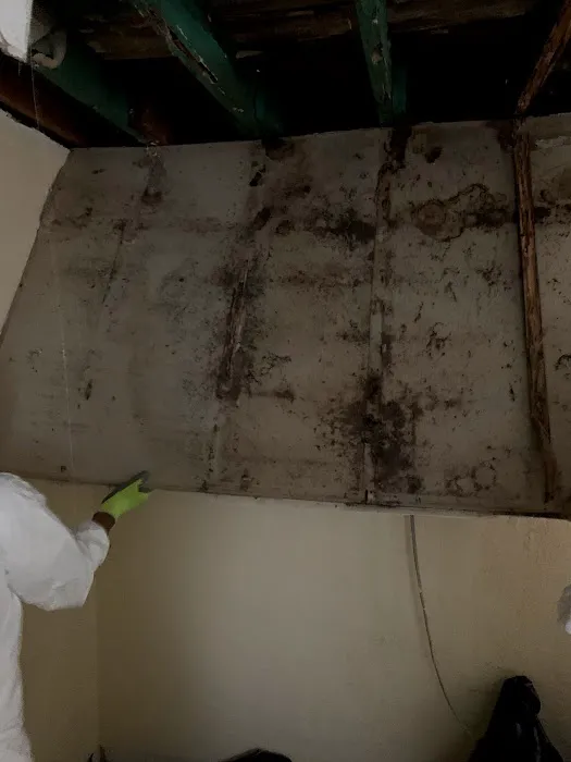 Restore Xpress Picture 6