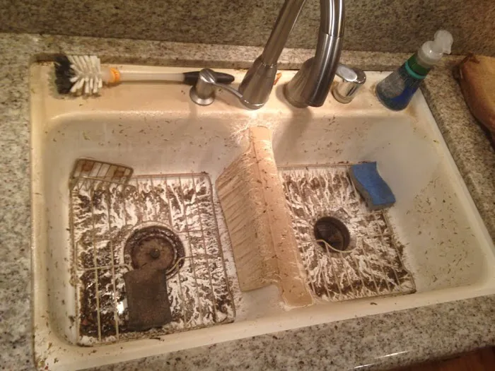 Florida Best Water Damage Cleanup Picture 1