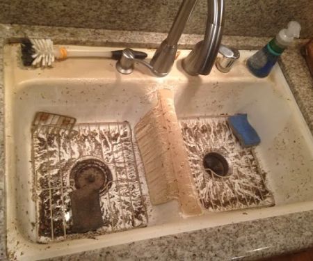 Florida Best Water Damage Cleanup