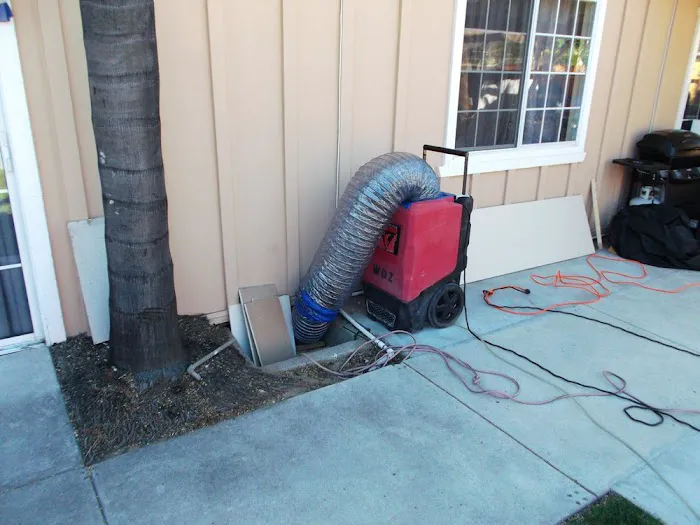 Florida Best Water Damage Cleanup Picture 5