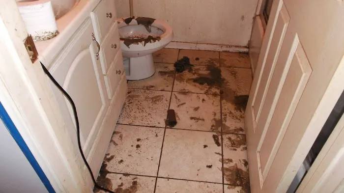 Florida Best Water Damage Cleanup Picture 6