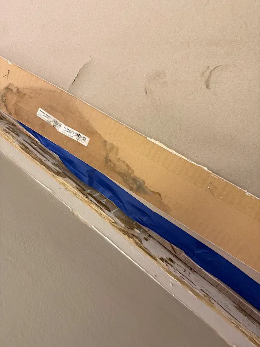 Mold inspection & removal in Miami - Florida Mold Detector Picture 5