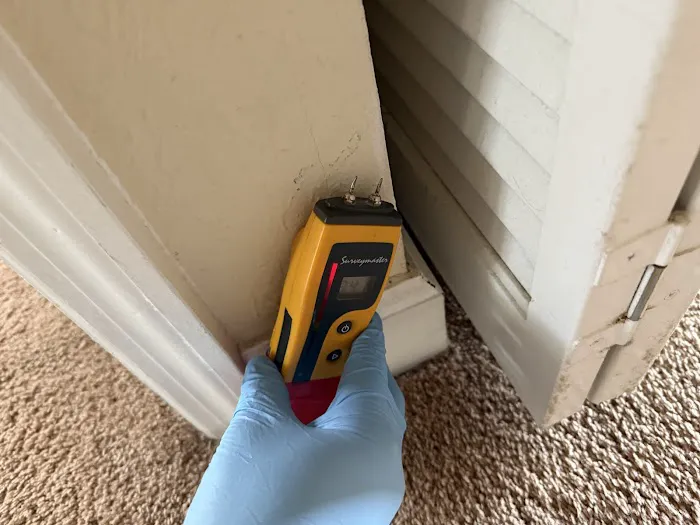 Mold inspection & removal in Miami - Florida Mold Detector Picture 4