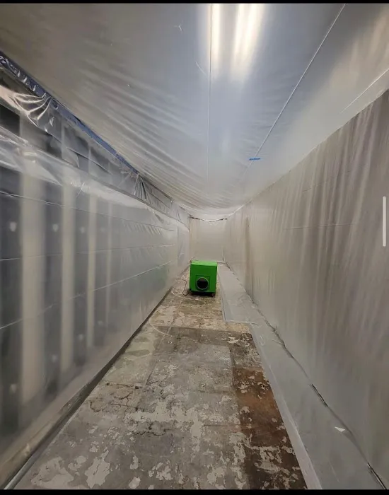 911 Mold LLC. Water and Mold Damage Repair Picture 1