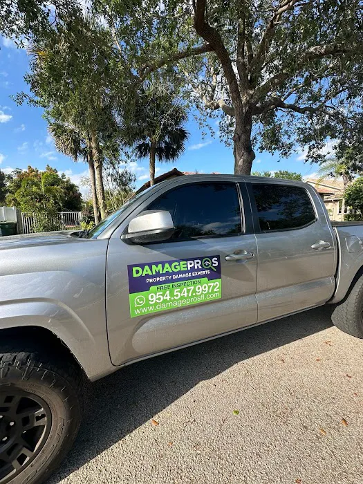 Damage Pros Picture 1