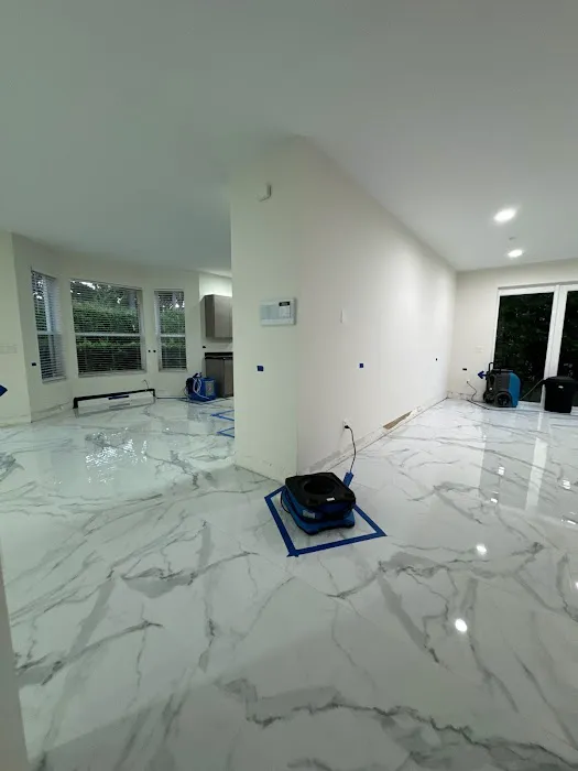 Damage Pros Picture 4