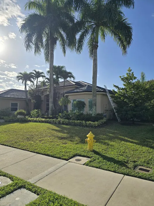 Apollo Build and Renovation Picture 4