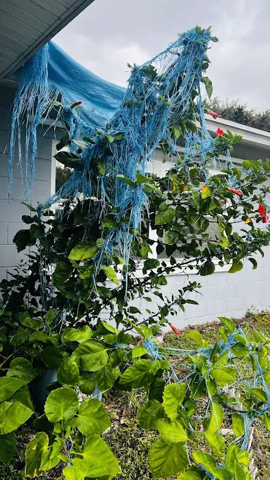 Apollo Build and Renovation Picture 10