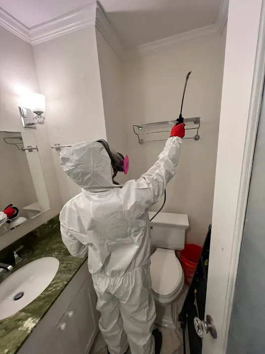 IQ Restoration LLC Picture 2