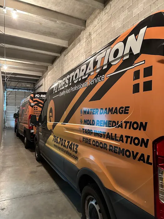 IQ Restoration LLC Picture 3