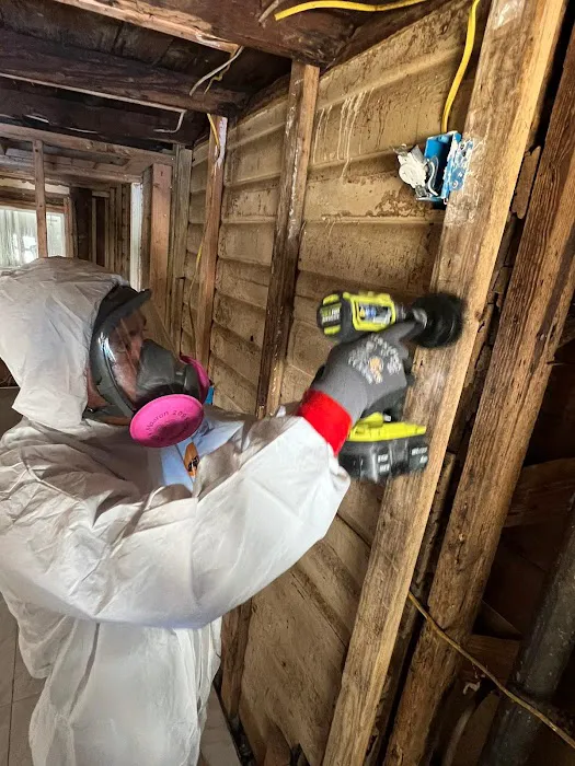 IQ Restoration LLC Picture 7