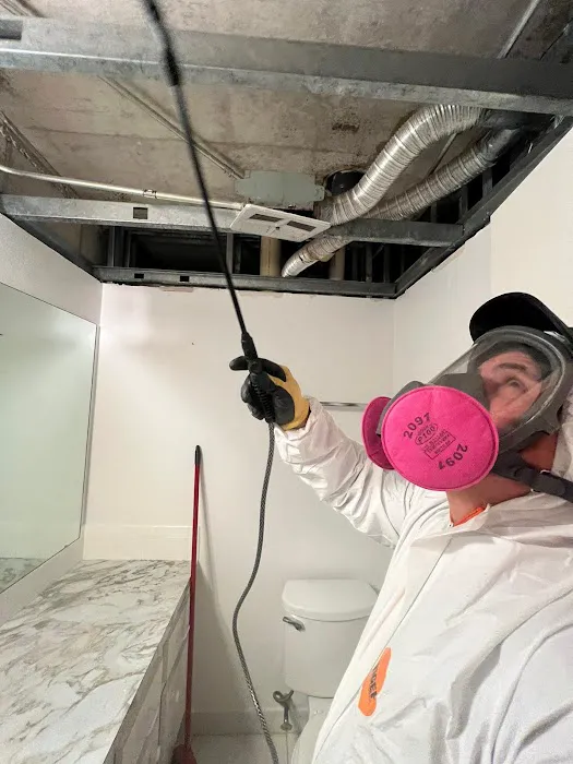 IQ Restoration LLC Picture 10