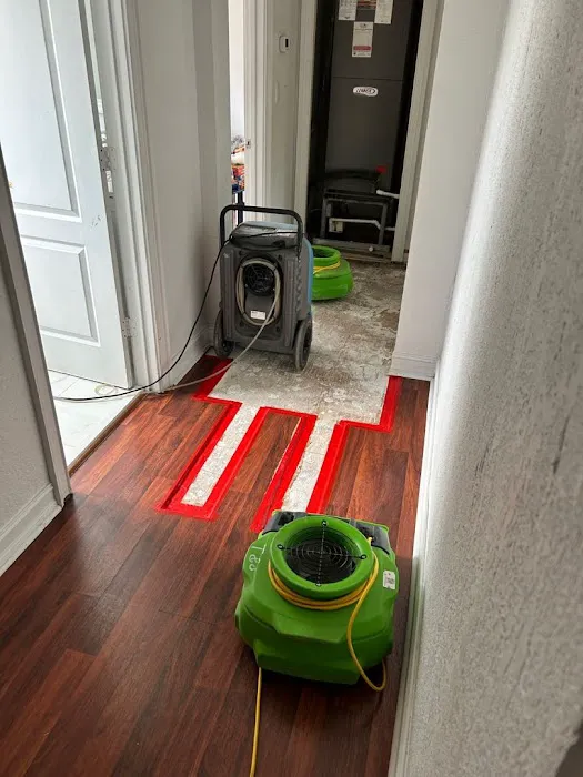 ACE Restoration Services Picture 3