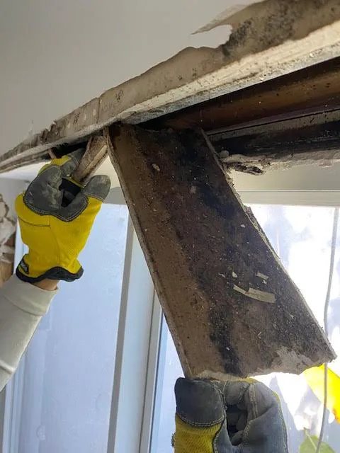 All Pro Restoration Services, LLC Picture 10