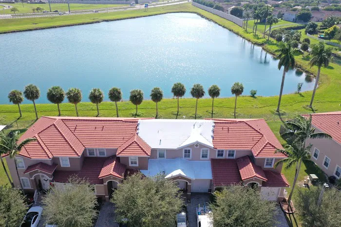 THE MASTERS OF DISASTERS Picture 2