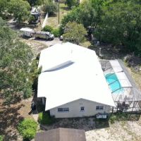 THE MASTERS OF DISASTERS ico