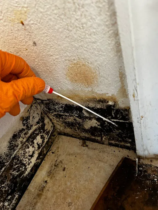 THE MASTERS OF DISASTERS Picture 5