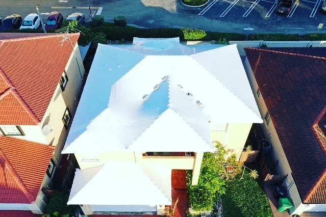 THE MASTERS OF DISASTERS Picture 9