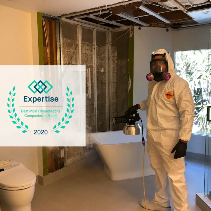 Instacure Mold Removal Picture 3