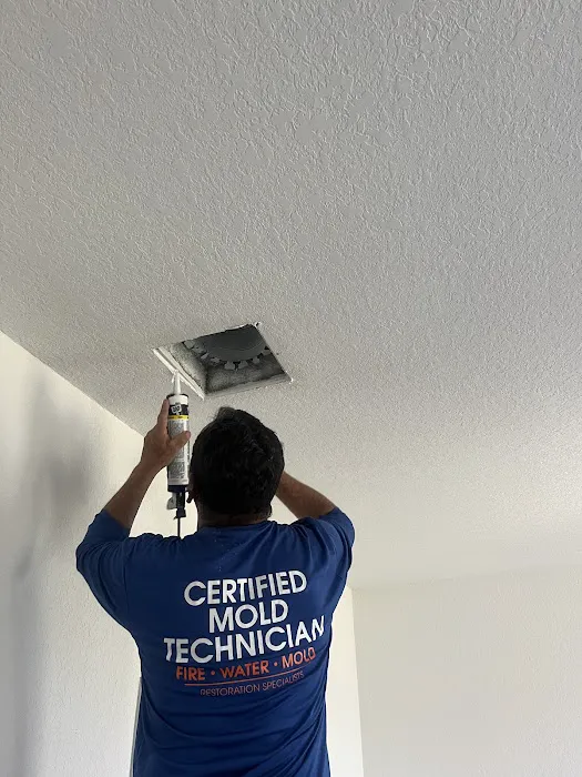 Instacure Mold Removal Picture 5