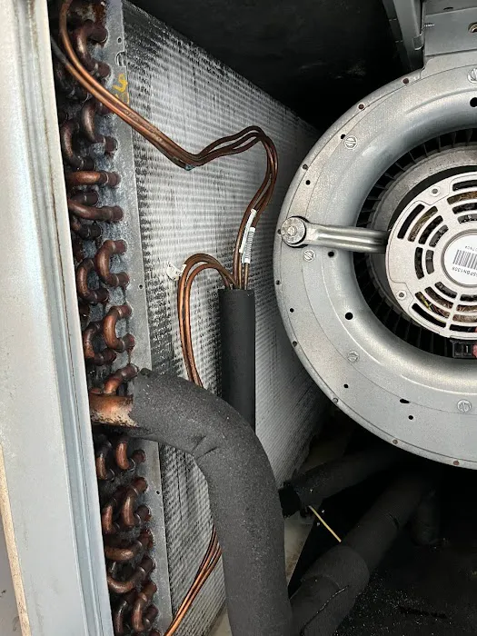 Instacure Mold Removal Picture 1