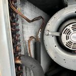 Instacure Mold Removal