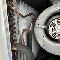 Instacure Mold Removal ico