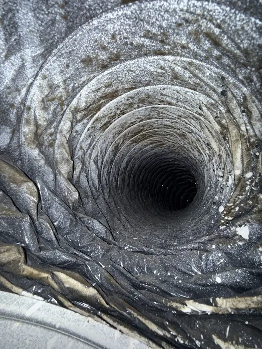 Instacure Mold Removal Picture 4