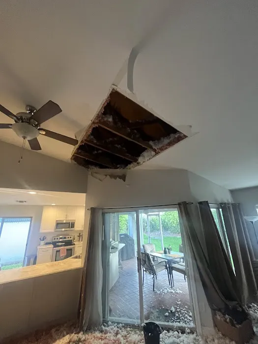 Instacure Mold Removal Picture 2